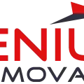 Genius Removals logo